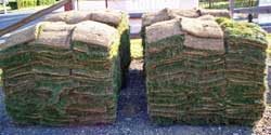 fresh sod every week - or whenever you need it!